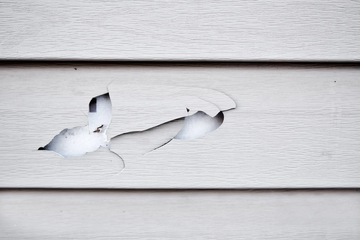Siding Damage example